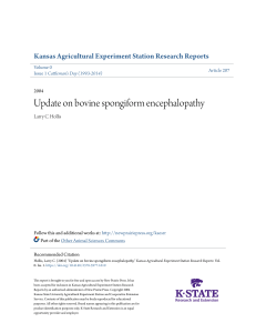 Update on bovine spongiform encephalopathy
