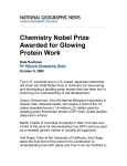 Chemistry Nobel Prize Awarded for Glowing Protein Work