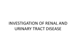 INVESTIGATION OF RENAL AND URINARY TRACT DISEASE
