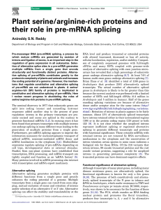 Plant serine/arginine-rich proteins and their role in pre