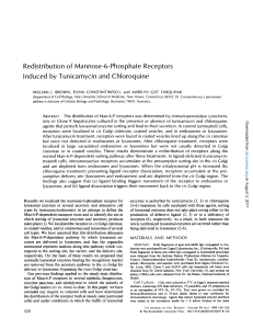 Redistribution of Mannose-6-Phosphate Receptors Induced by