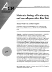 Molecular biology of brain aging and neurodegenerative disorders