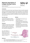 Molecular Interactions of Collagen-binding Proteins