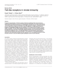Toll-like receptors in innate immunity