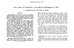 (1977) New Genes for Resistance to the Brown Planthopper in Rice