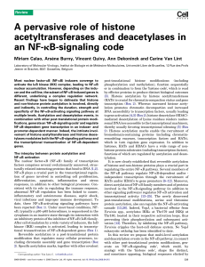 A pervasive role of histone acetyltransferases and deacetylases in