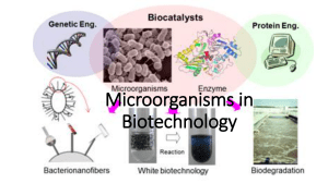 Microorganisms in Biotechnology