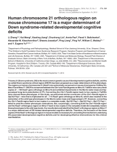 Human chromosome 21 orthologous region on