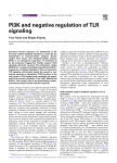 PI3K and negative regulation of TLR signaling