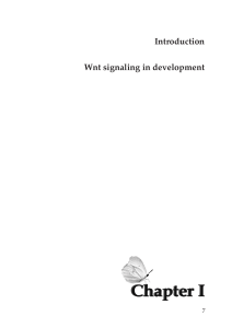 Introduction Wnt signaling in development