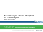 Formalize Project Portfolio Management for Small Enterprise Sample