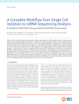 A Complete Workflow from Single Cell Isolation to mRNA