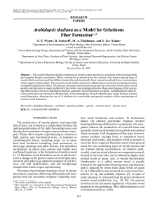 Arabidopsis thaliana as a Model for Gelatinous Fiber Formation1, 2