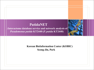 PutidaNET : Interactome database service and network analysis of