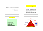 Bacterial infection and antibiotics