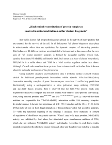 „Biochemical reconstitution of protein complexes involved in