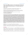 Neuronal differentiation of transplanted embryonic stem cell