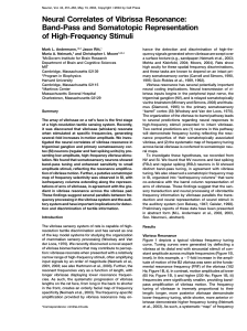 Neural Correlates of Vibrissa Resonance: Band