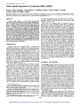 Tumor-specific Expression of Cytochrome P450