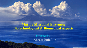 Marine Microbial Enzymes: Biotechnological and Biomedical Aspects