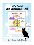 Lets Build An Animal Cell.pptx
