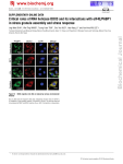 Critical roles of RNA helicase DDX3 and its interactions with eIF4E