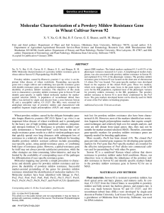 Molecular Characterization of a Powdery Mildew Resistance Gene