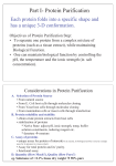 Part I- Protein Purification