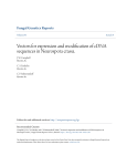 Vectors for expression and modification of cDNA sequences in