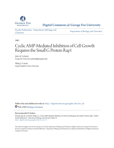 Cyclic AMP-Mediated Inhibition of Cell Growth Requires the Small G