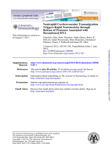 Decondensed DNA Release of Proteases Associated with Triggers