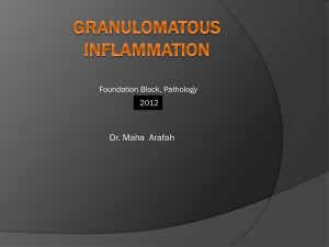 GRANULOMATOUS INFLAMMATION Lecture1