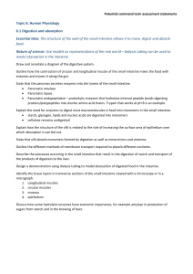 6.1 Digestion and absorption assessment statements