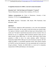 A reagentless biosensor for mRNA: a new tool to study transcription