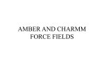 amber and charmm force fields