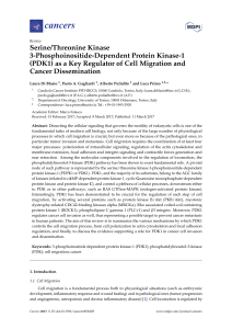 Serine/Threonine Kinase 3-Phosphoinositide