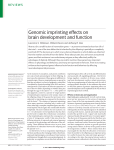 Genomic imprinting effects on brain development and function