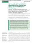 Point mutations in murine Nkx2-5 phenocopy human