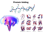 Protein folding