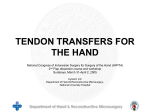 PRINCIPLES OF TENDON TRANSFERS