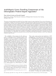 Arabidopsis Genes Encoding Components of the