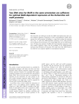 Two DNA sites for MelR in the same orientation are sufficient for