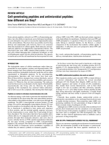 Cell-penetrating peptides and antimicrobial peptides: how different