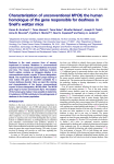 Characterization of unconventional MYO6, the human homologue of