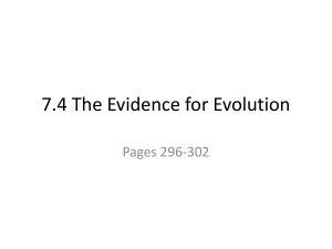 7.4 The Evidence for Evolution - Hutchison