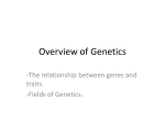 Overview of Genetics