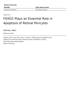 FOXO1 Plays an Essential Role in Apoptosis of Retinal