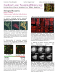 Confocal Laser Scanning Microscopy