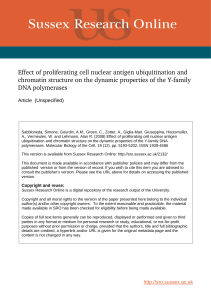Effect of Proliferating Cell Nuclear Antigen