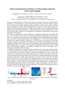 Direct measurement of terahertz wavefront pulses using 2D electro